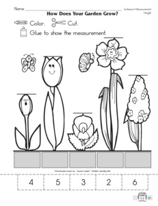 Free Non Standard Measurement Worksheets First Grade  Results For    