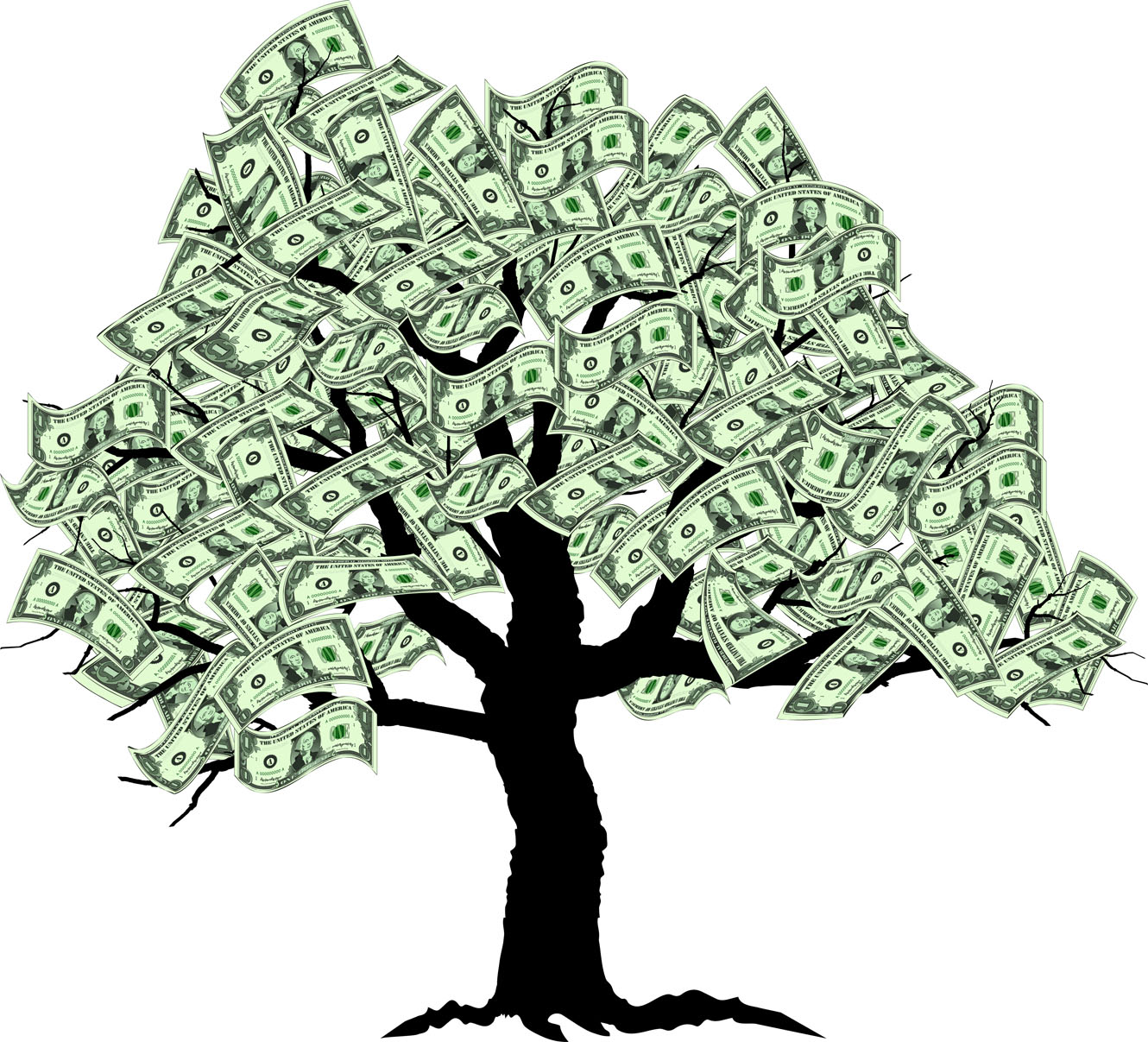 Tags  You Can Grow Money Money Growing On Trees