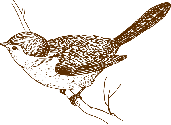 Brown Bird On Branch Clip Art At Clker Com   Vector Clip Art Online