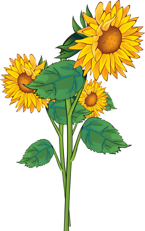 Summer Flowers Clip Art   Clipart Best
