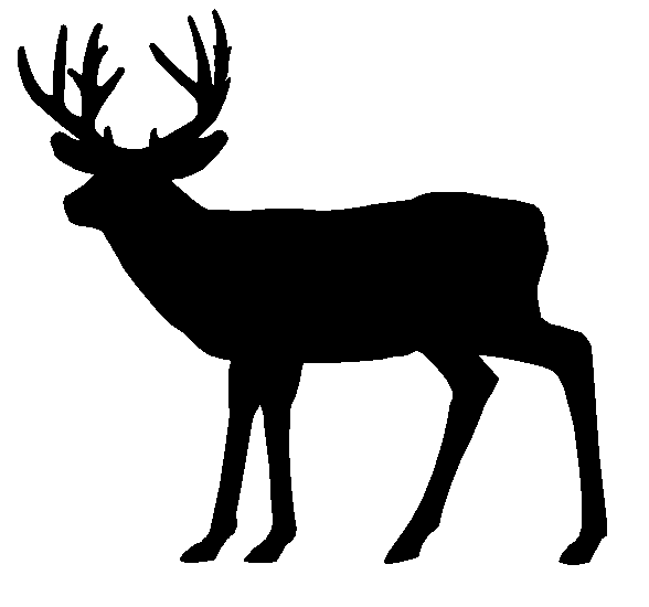 Whitetail Deer Clip Art