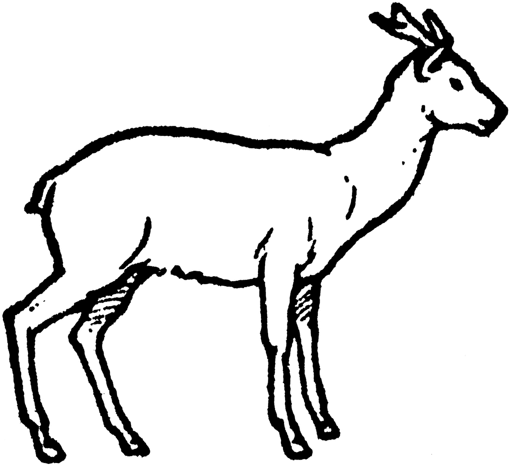 Whitetail Deer Clipart   Cliparts Co