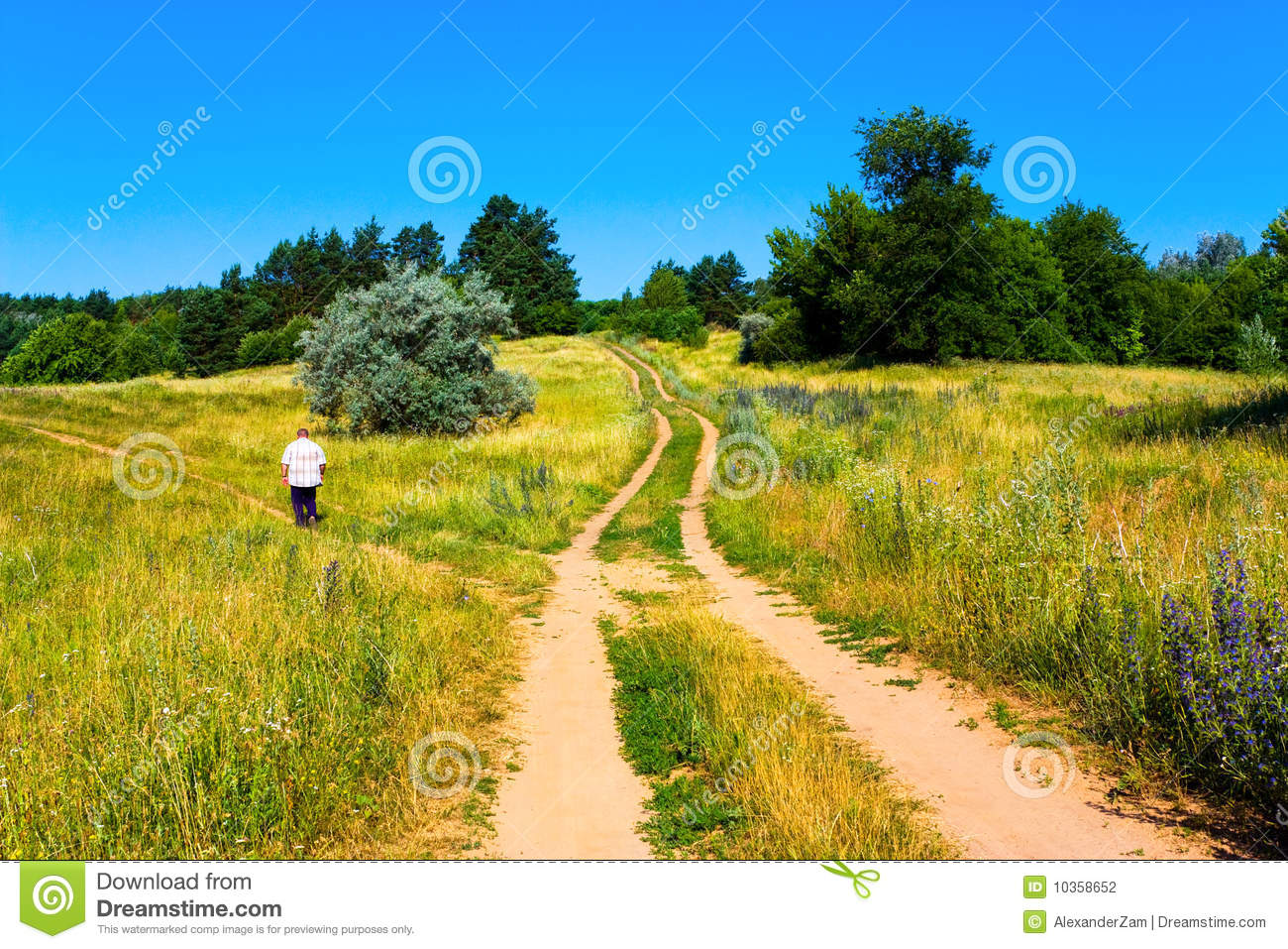 Dirt Road Stock Photography   Image  10358652