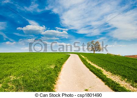 Dirt Road With Tree   Csp1801490