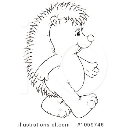 Hedgehog Clipart  1059746   Illustration By Alex Bannykh