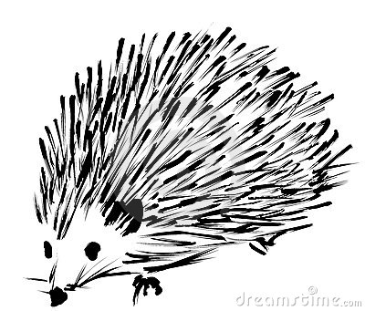 Illustration Of A Hedgehog Made After A Spontaneous Felt Marker Sketch