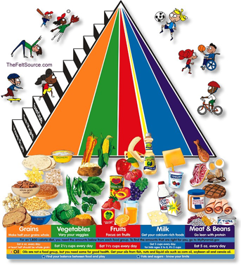 Food Precautions Healthy Lifestyle For Kids Families Food Pyramid