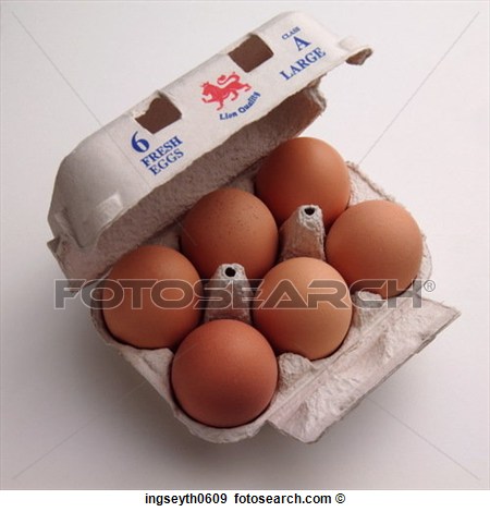 Photograph   Eggs Half Dozen Half Dozen Eggs Egg Box Six Six Eggs