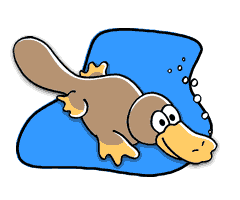 Platypuses   In The Water   Our Animals