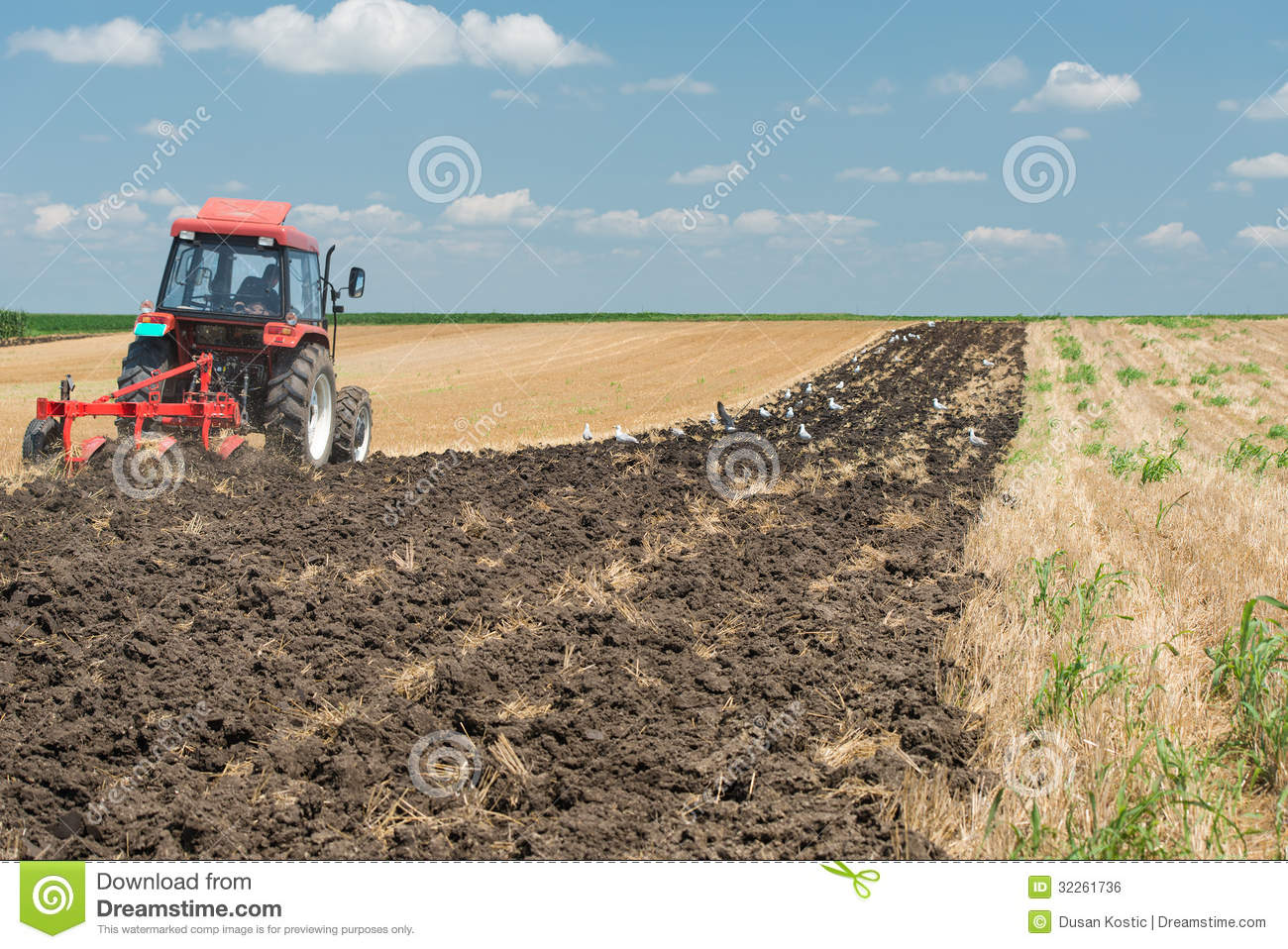 Tractor Plowing Royalty Free Stock Image   Image  32261736