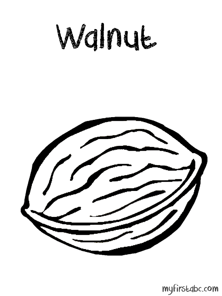 Walnut   Walnut Coloring Page