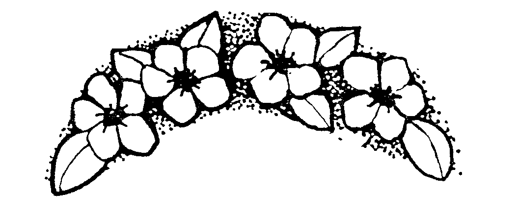 25 Funeral Flowers Clip Art Free Cliparts That You Can Download To You    