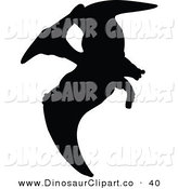 Of A Profiled Black Pterodactyl Dinosaur Silhouette Flying Left By Jr