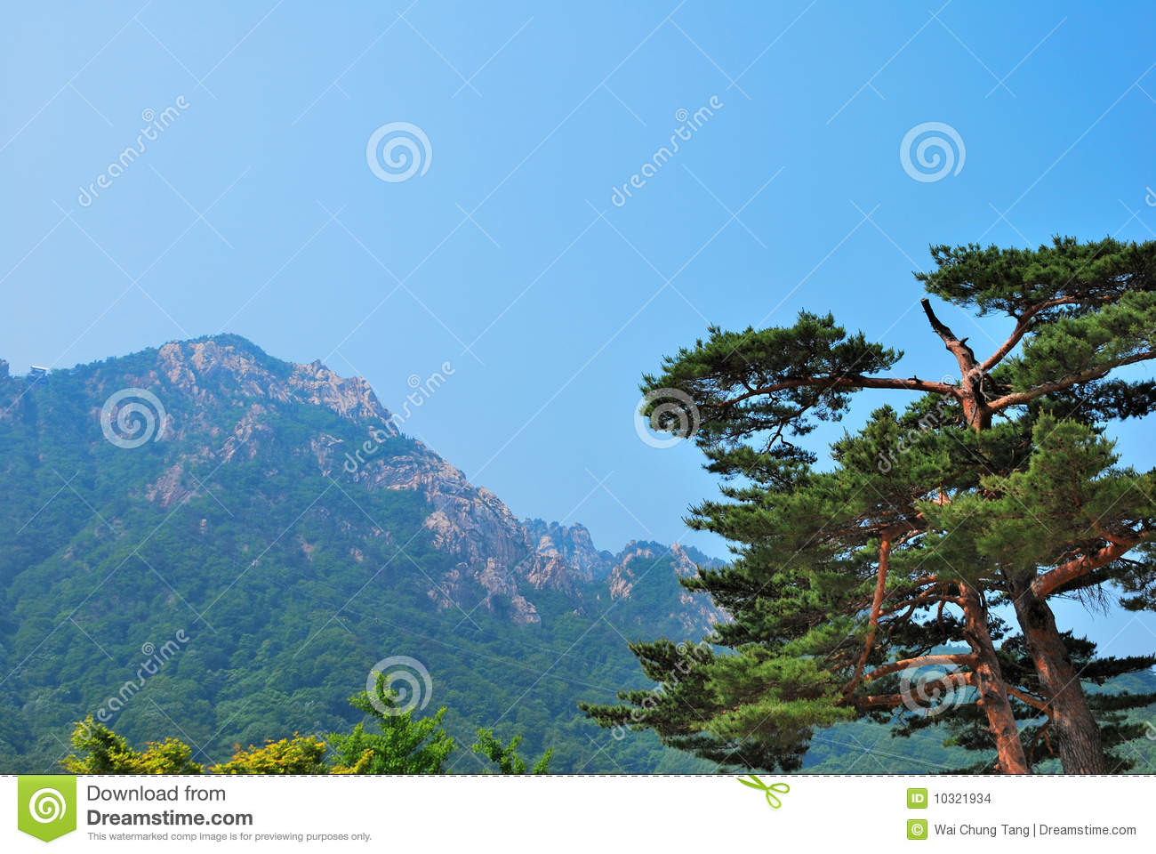 Treacherous Mountain Cliffs With Fig Tree In The Foreground