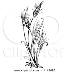     Clipart Of A Retro Vintage Black And White Wheat Plant   Royalty Free
