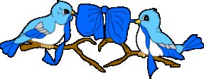 Free Birds Blue Ribbon Clipart   Free Clipart Graphics Images And