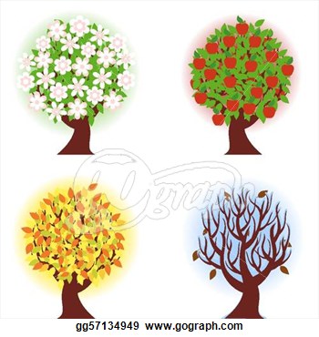 Illustration Of The Four Seasons Of Apple Tree  Eps Clipart Gg57134949