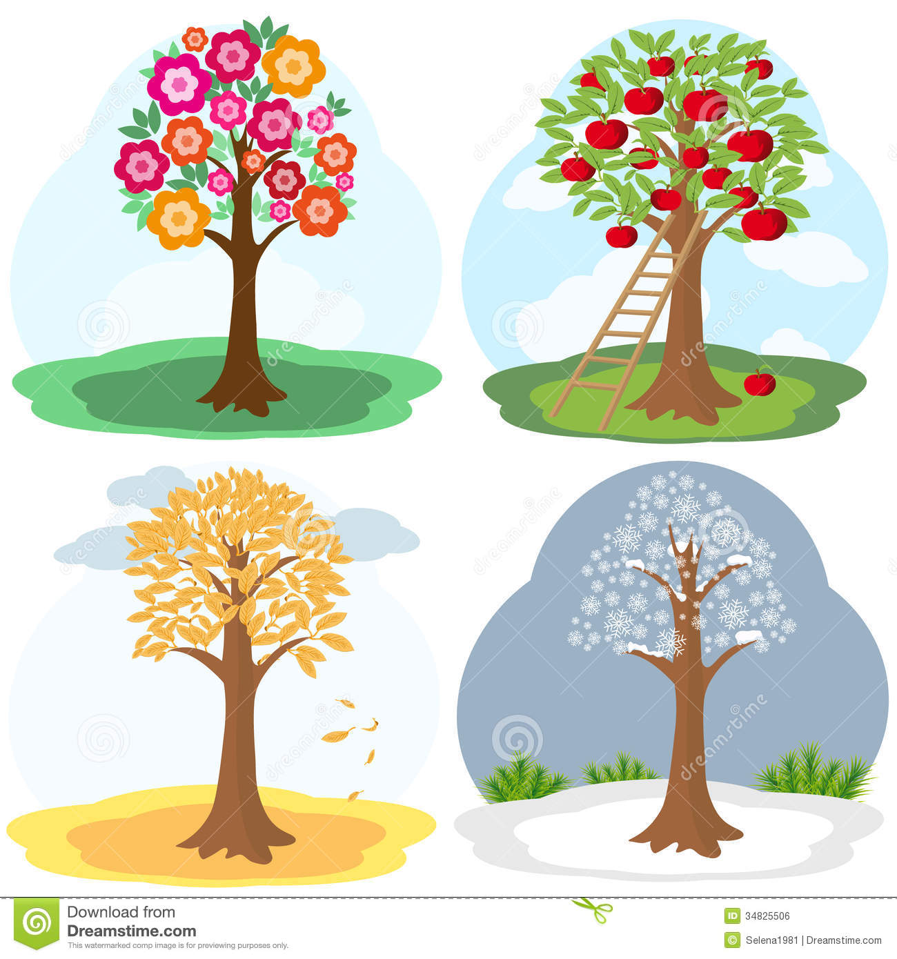 Vector Illustration Of Tree In Four Seasons  Spring Summer Autumn
