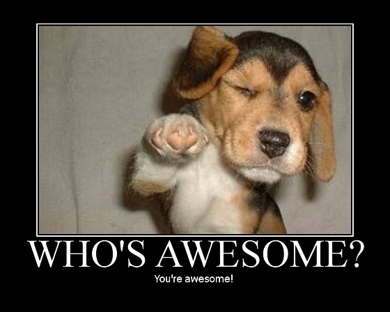 You Re Awesome