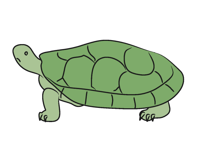03 Turtle   Free Animal Clip Art   Image Processing Ok   Royalty Free