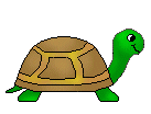 Download Turtle Clip Art Of Small Turtles Medium Sized Turtles And    