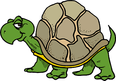 Free Turtle Clipart Images