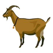 Golden Calf Clipart And Illustrations