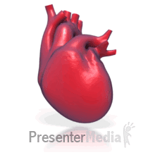 Heart Beating Powerpoint Animation