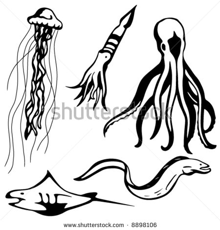 Ocean Animals Clip Art Black And White 363738  In Black And White But