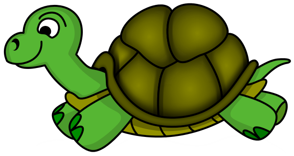 Turtle10