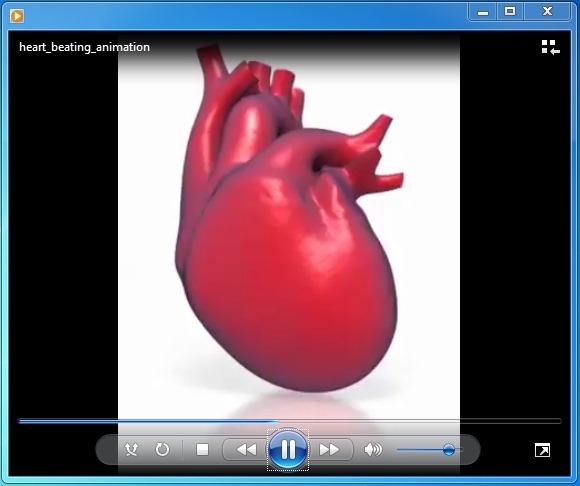 Vital Organ Heart Powerpoint Template   Powerpoint Presentation