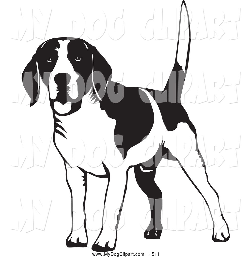   Clip Art Of A Cute Happy Beagle Dog Wagging His Tail On A White    