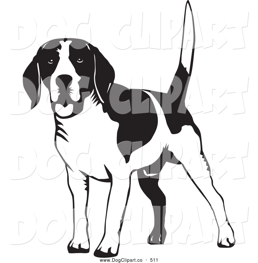 Clip Art Of A Friendly Happy Beagle Dog Wagging His Tail On A White