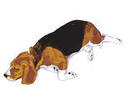 Little Beagle Clip Art Download 568 Clip Arts  Page 1    Clipartlogo    