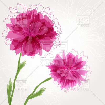 Peony Flower With Pink Buds 23263 Plants And Animals Download    