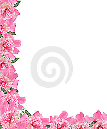 Pnk Peony Floral Border Royalty Free Stock Images   Image  9694229