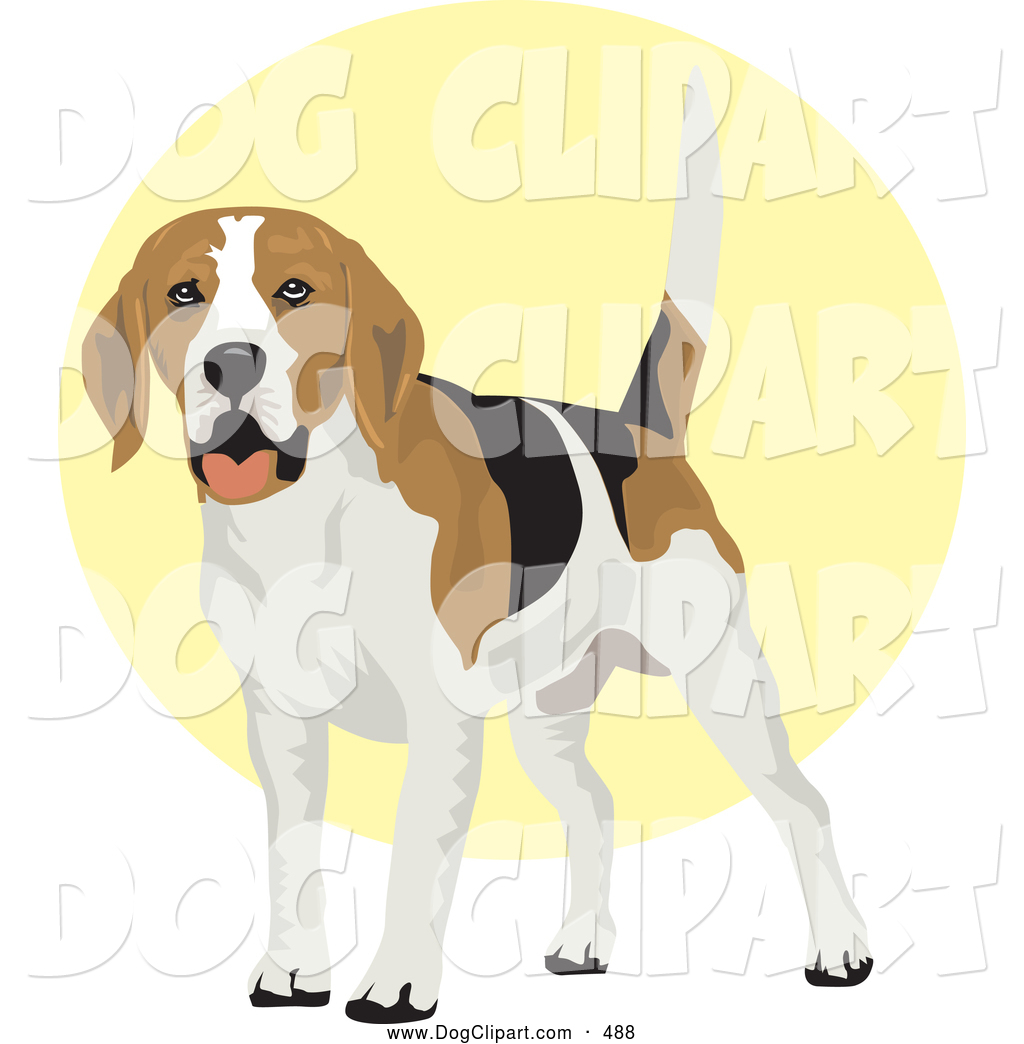 Preview  Clip Art Of A Cute Friendly White Tan And Black Beagle