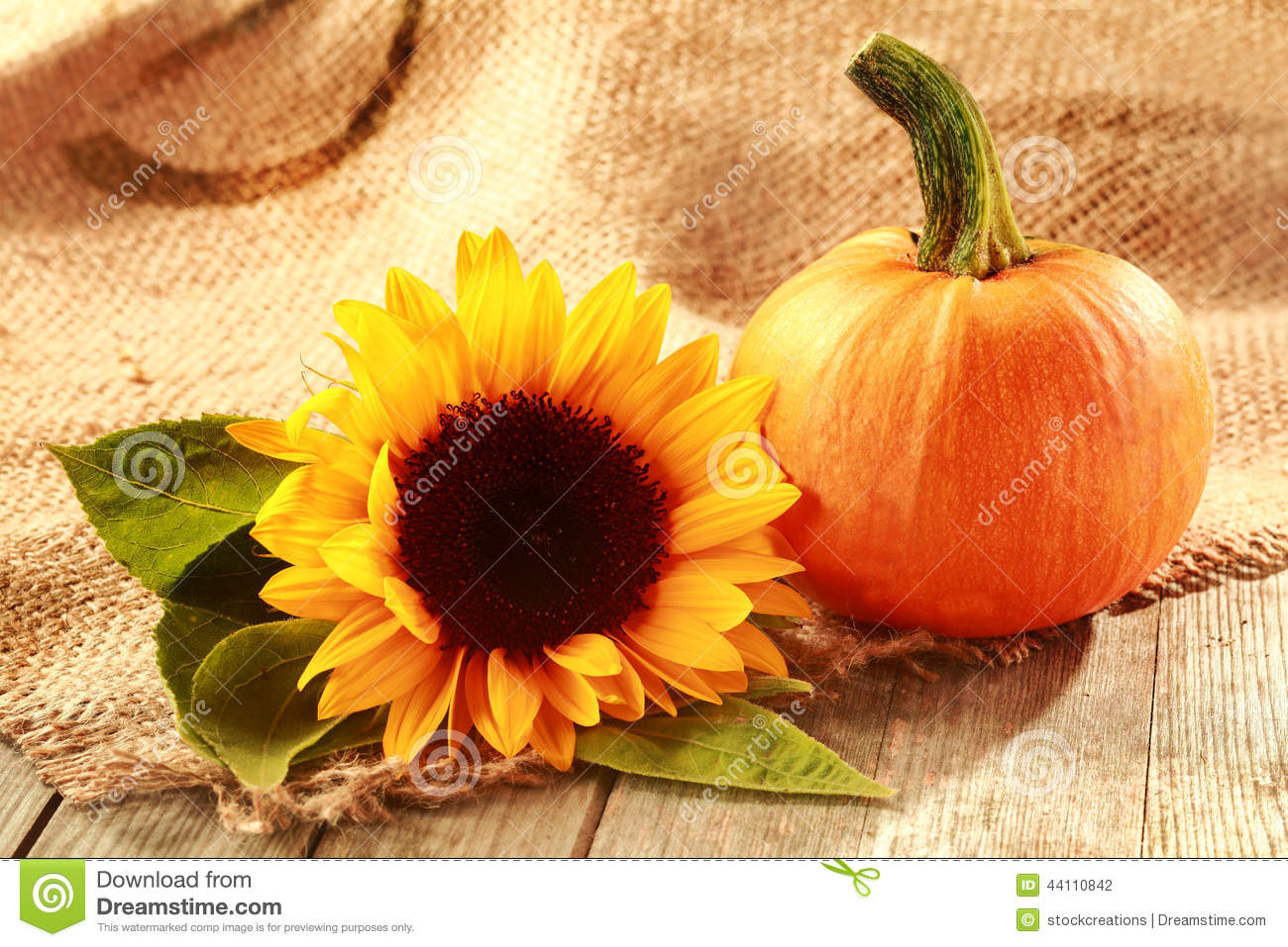 Rustic Thanksgiving Background With Copyspace And A Colorful Yellow