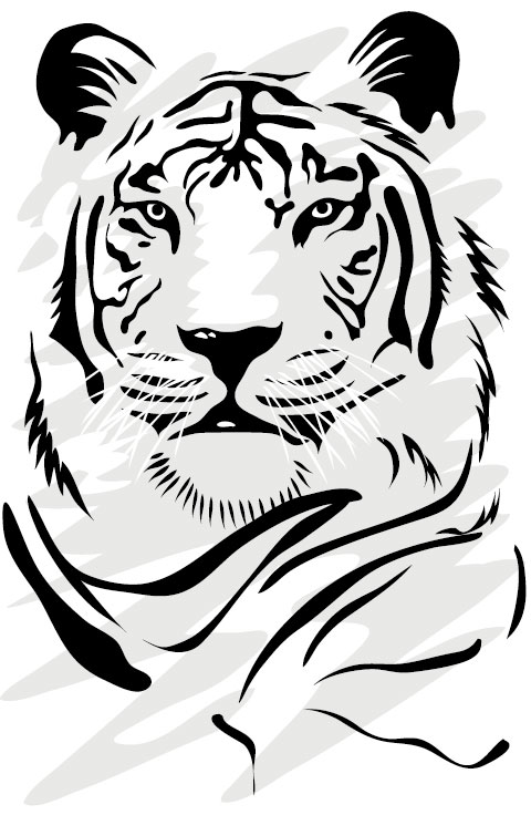 Set Of Tiger Vector Picture Art 06   Vector Animal Free Download