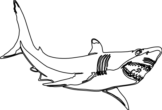     Shark Clipart Black And White   Clipart Panda   Free Clipart Images