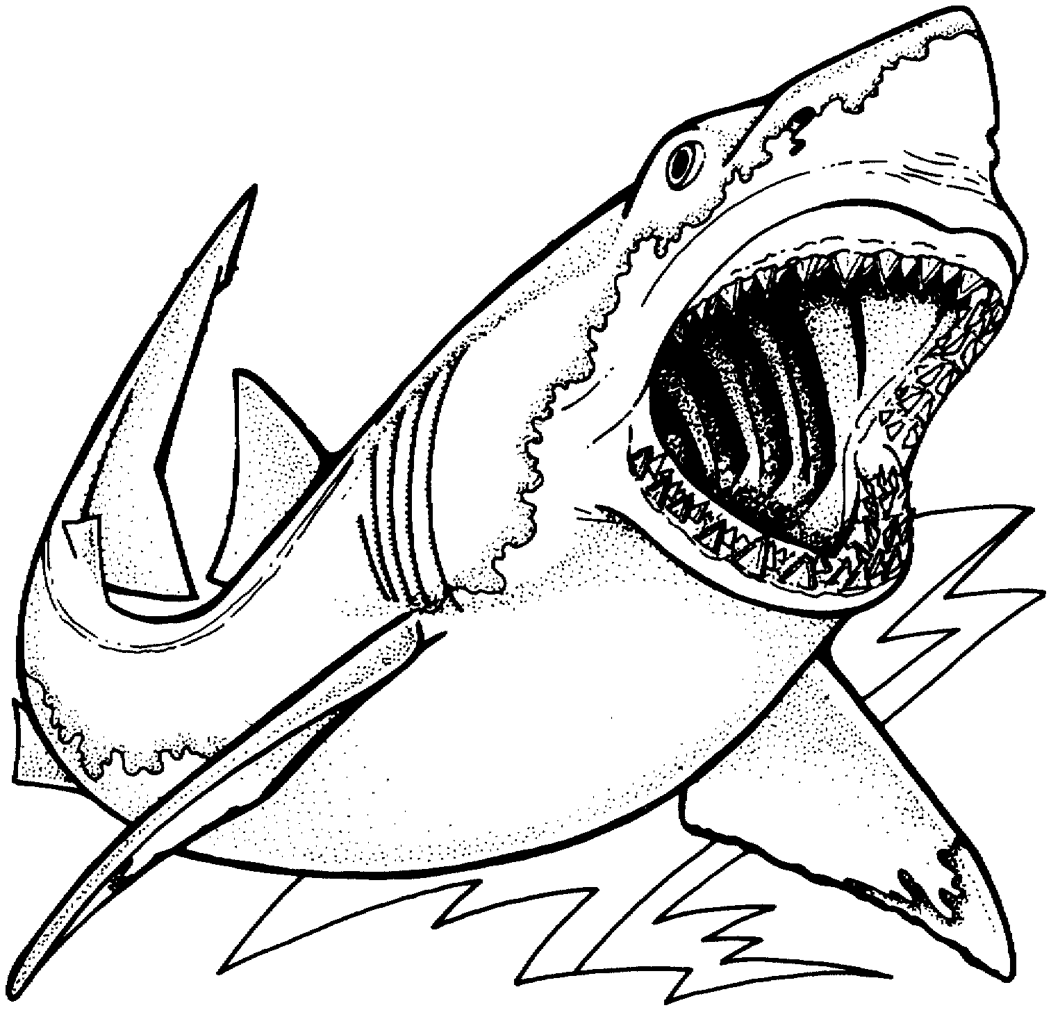 Shark Coloring Pages   Clipart Panda   Free Clipart Images