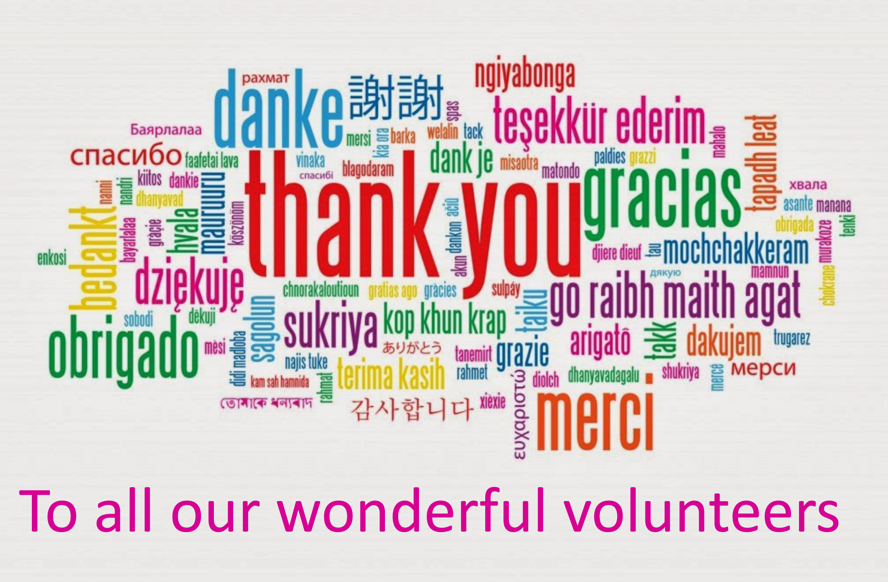 Thank You Volunteers Thank You To Our Volunteers