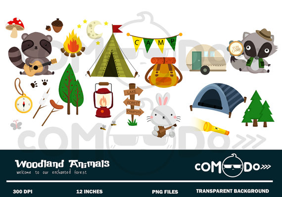 Camping Animal Cute Clipart   Digital Clip Art For Commercial And    