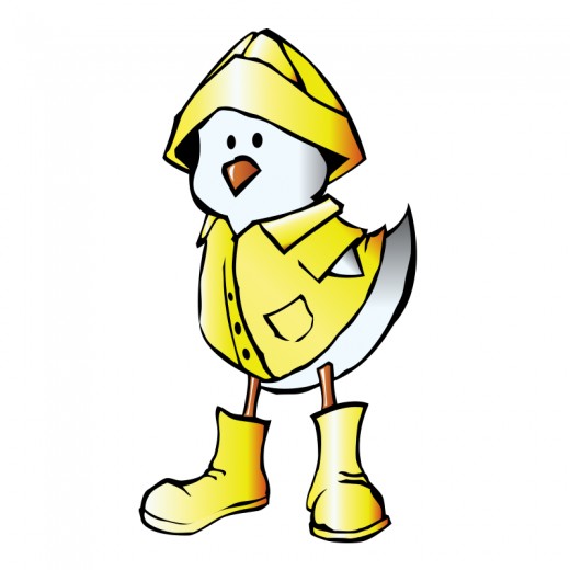 Cartoon Duck In A Raincoat
