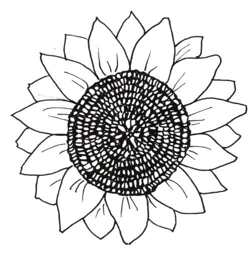 Sunflower Coloring Pages For Kids Aims To Stimulate The Children To Be