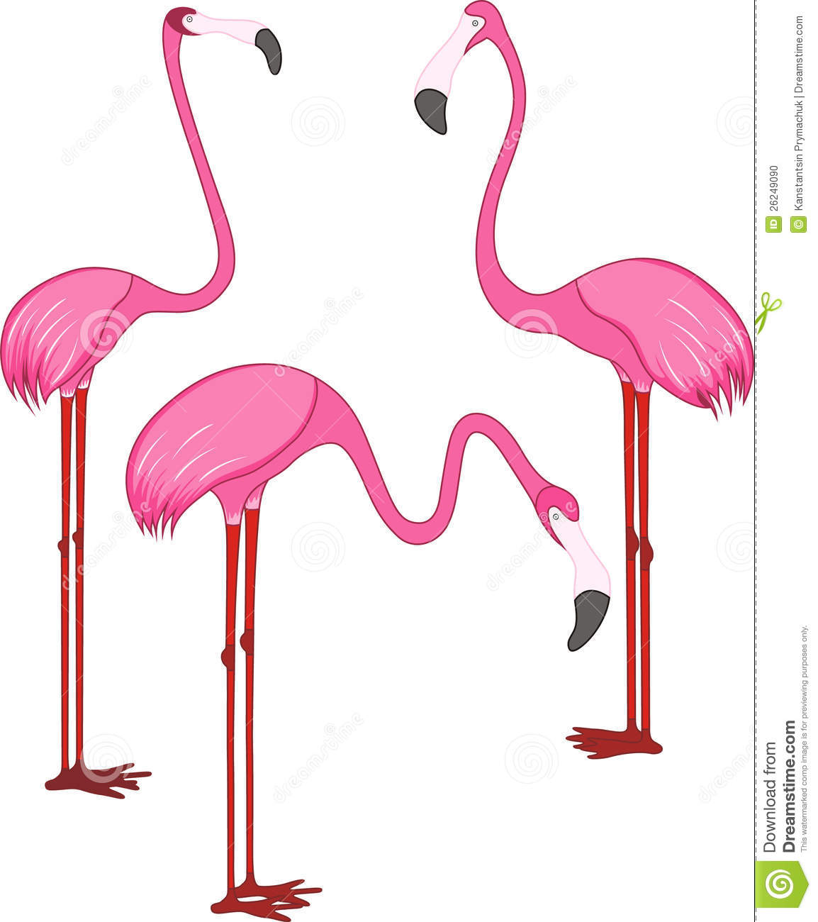 Three Different Beautiful Pink Flamingos Vector Illustration