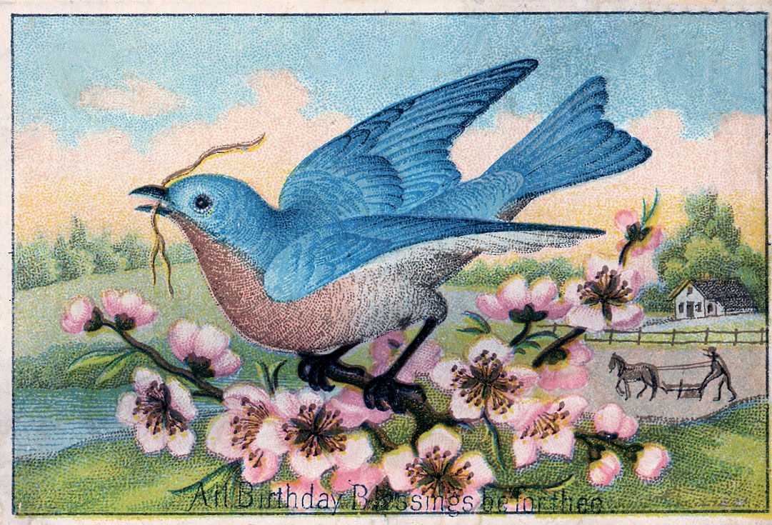 Vintage Bird Clipart Free Vintage Clip Art Pretty
