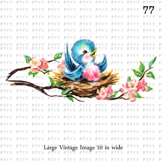 Vintage Bluebird On Cherry Blossom Branch Large Digital Image Download