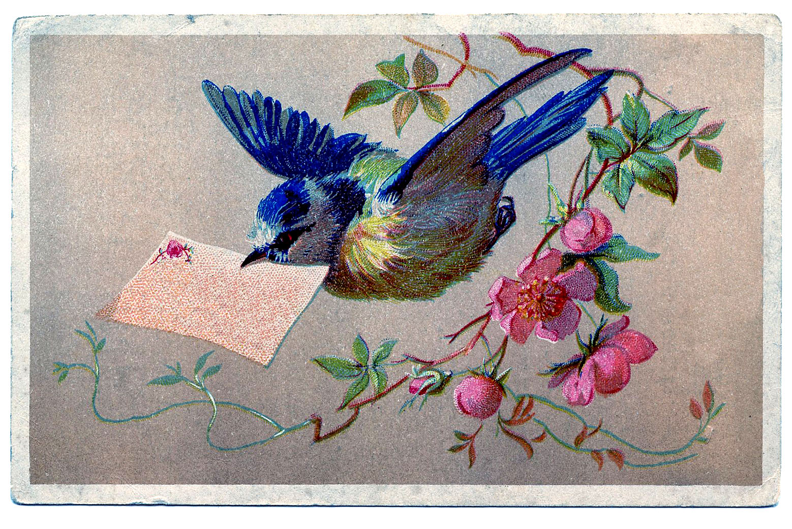 Vintage Clip Art   Bluebird With Cherry Blossoms   The Graphics Fairy