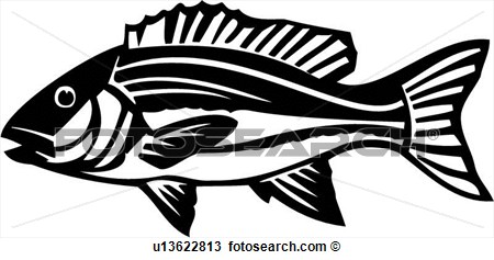 Clipart    Fish Animal Ocean Red Snapper Species   Fotosearch    